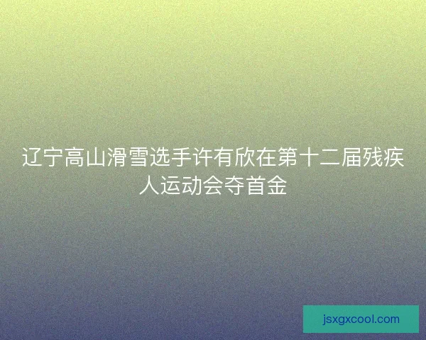 辽宁高山滑雪选手许有欣在第十二届残疾人运动会夺首金