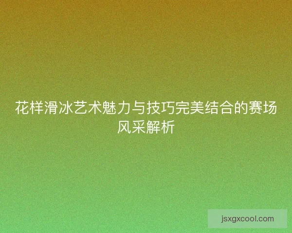 花样滑冰艺术魅力与技巧完美结合的赛场风采解析