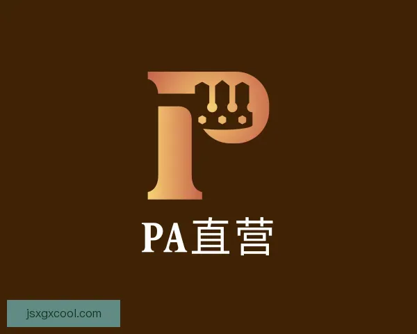 认识PA直营